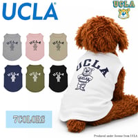 送料無料 UCLA(ユーシーエルエー） 犬服 Tシャツ ドッグウエア UCLA-0433 STANDBEAR クマ カレッジ アメカジ