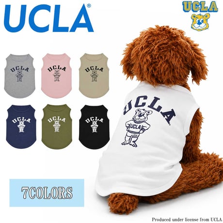 送料無料 UCLA(ユーシーエルエー） 犬服 Tシャツ ドッグウエア UCLA-0433 STANDBEAR クマ カレッジ アメカジ