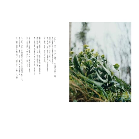 『mahora』創刊号