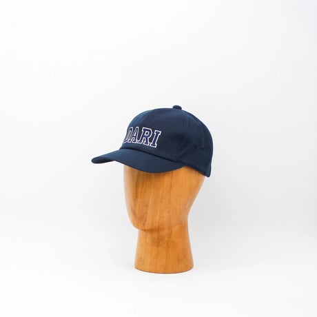 DARI Embroidery Chino cap