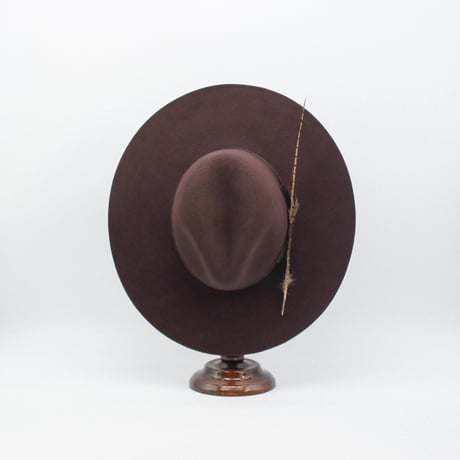 Long feather Slim Fedora