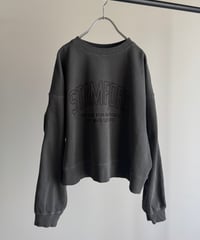 pigment logo sweat