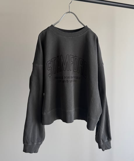 pigment logo sweat