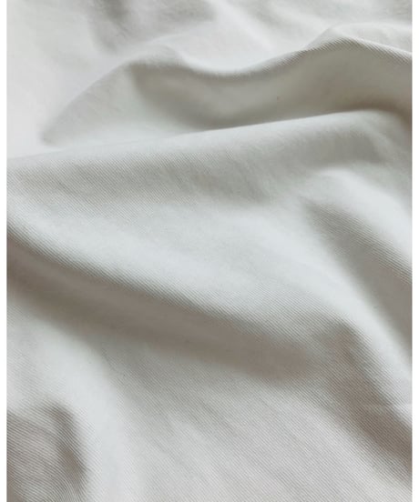 raglan sleeve cotton long cut sew/3color