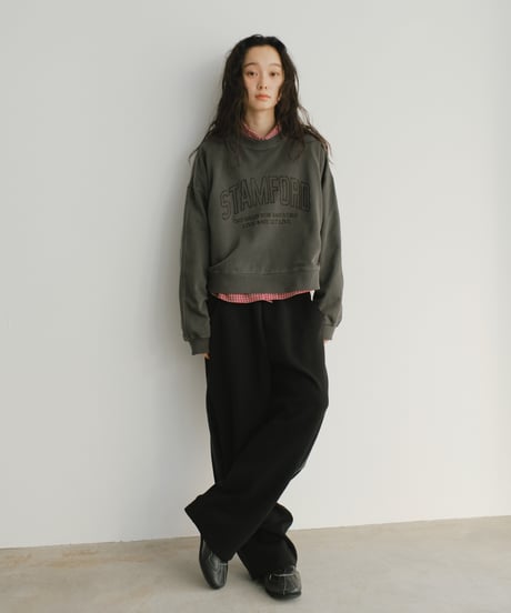 pigment logo sweat