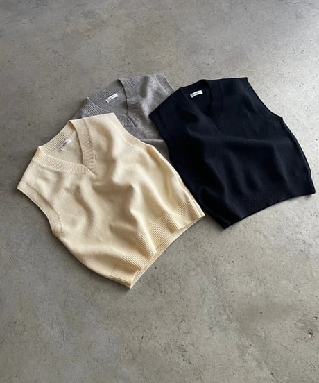 simple Vneck vest/3color
