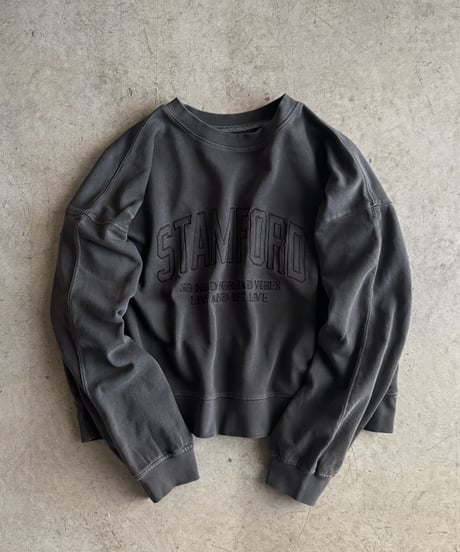 pigment logo sweat