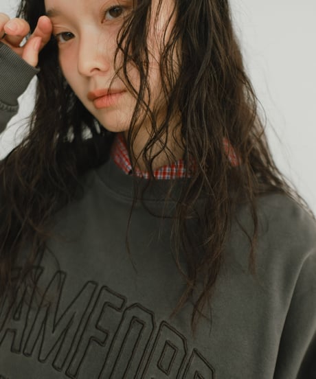 pigment logo sweat