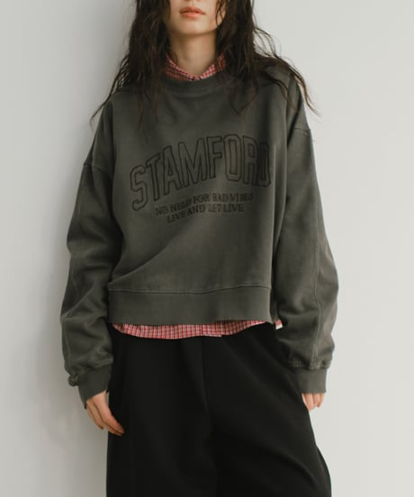 pigment logo sweat