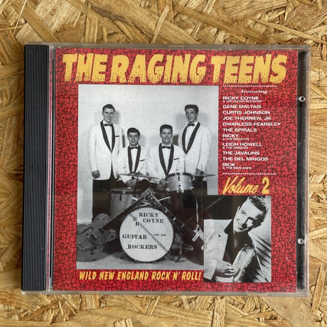V.A. / The Raging Teens Volume 2