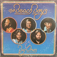 THE BEACH BOYS / 15 Big Ones