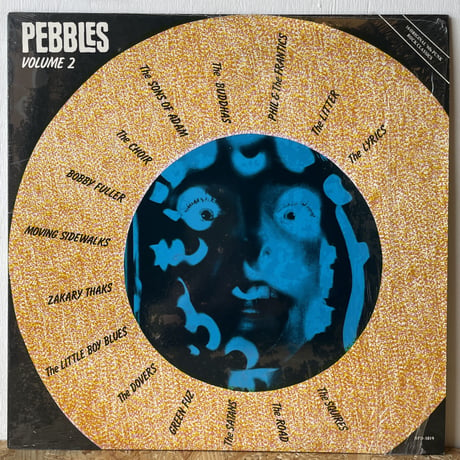 V.A. / Pebbles Volume 2