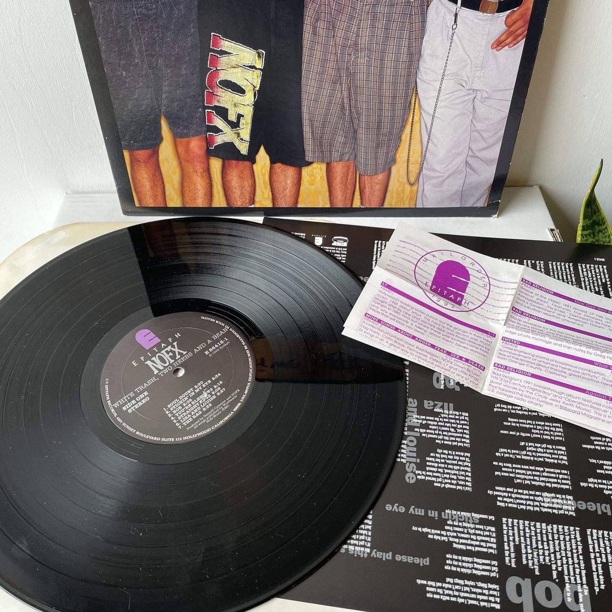 NOFX / White Trash, Two Heebs And A Bean | Osci