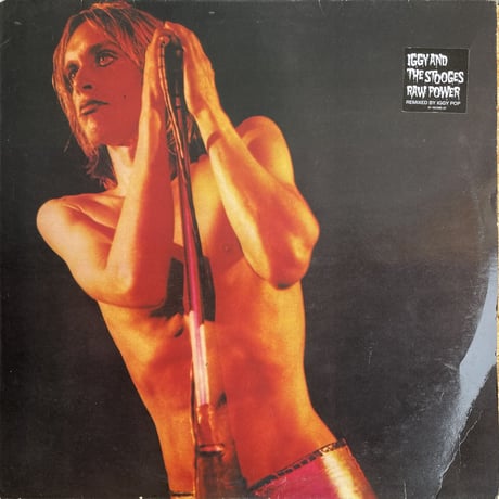 IGGY AND THE STOOGES / Raw Power