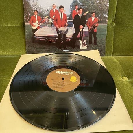 JIM MESSINA AND THE JESTERS / JIM MESSINA AND THE JESTERS