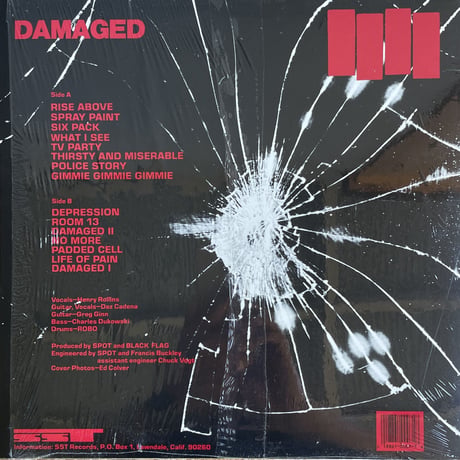 BLACK FLAG / Damaged
