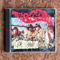 THE SEEDS / Evil Hoodoo