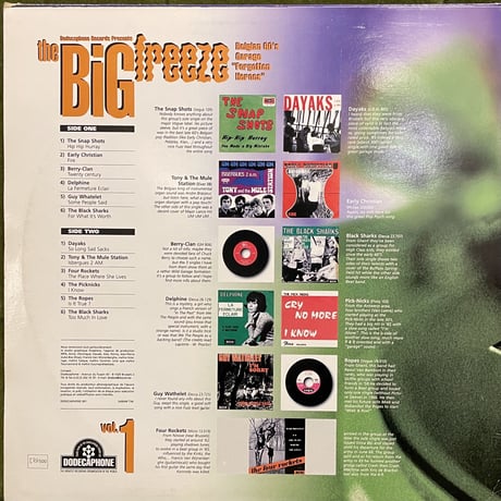 V.A. / The Big Freeze Vol. 1 (Belgian 60's Garage "Forgotten Heroes")