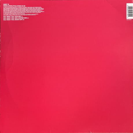 LO FIDELITY ALLSTARS / Feel What I Feel
