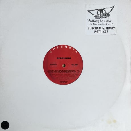 AEROSMITH / Falling In Love (Is Hard On The Knees) Butcher & Moby Remixes