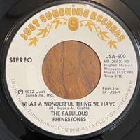THE FABULOUS RHINESTONES / What A Wonderful Thing We Have