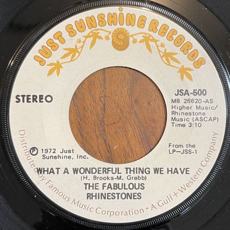 THE FABULOUS RHINESTONES / What A Wonderful Thing We Have
