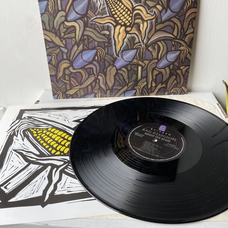 BAD RELIGION / Against The Grain