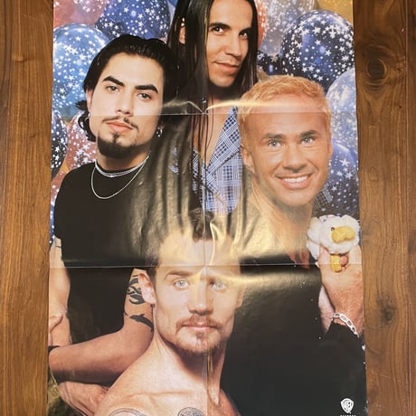 RED HOT CHILI PEPPERS /My Friends