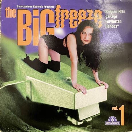 V.A. / The Big Freeze Vol. 1 (Belgian 60's Garage "Forgotten Heroes")