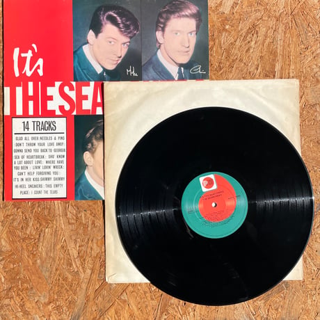 THE SEARCHERS / It's The Searchers