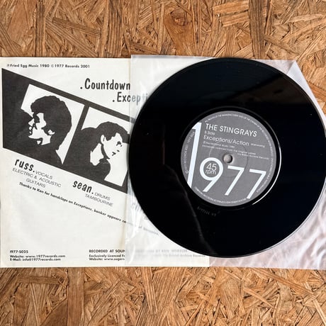 THE STINGRAYS / Countdown