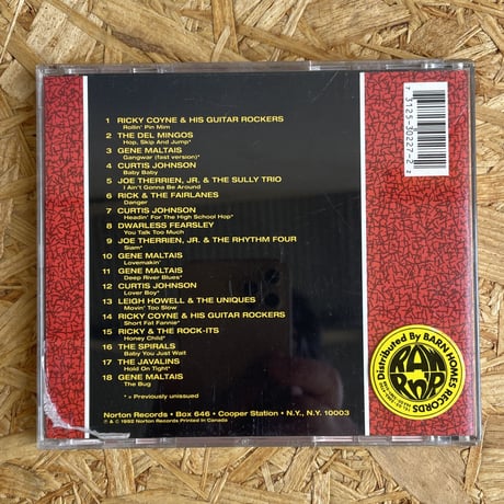 V.A. / The Raging Teens Volume 2