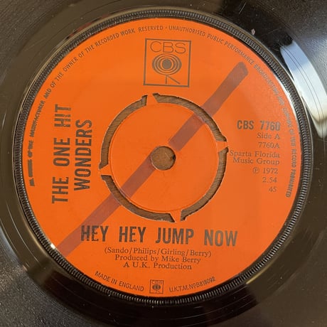 THE ONE HIT WONDERS / HEY HEY JUMP NOW