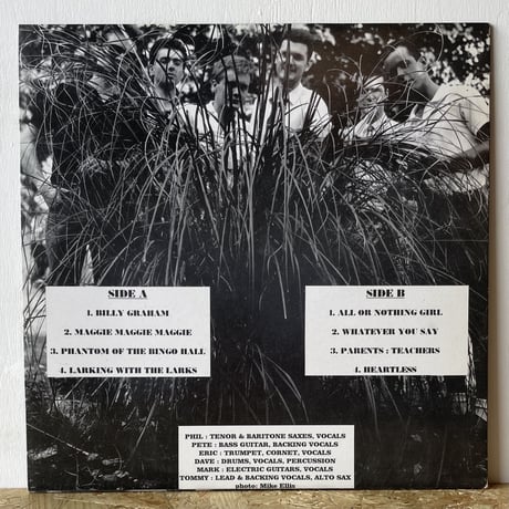 THE LARKS  / The Larks