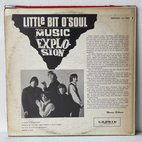 THE MUSIC EXPLOSION / Little Bit O'Soul