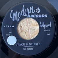 THE CADETS / Stranded In The Jungle