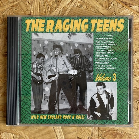 V.A. / The Raging Teens Volume 3