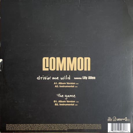 COMMON featuring LILY ALLEN / Drivin' Me Wild
