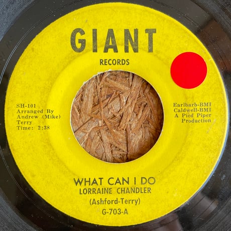 LORRAINE CHANDLER / What Can I Do