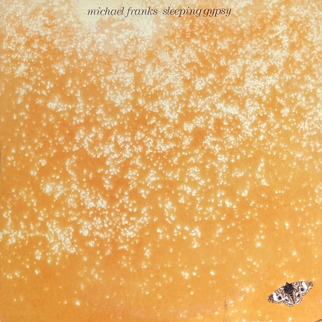 MICHAEL FRANKS / Sleeping Gypsy