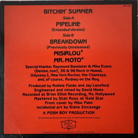 AGENT ORANGE / Bitchin' Summer