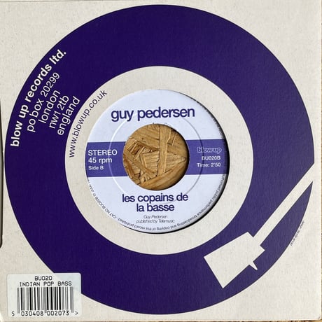 GUY PEDERSEN / Indian Pop Bass