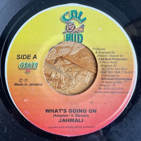 JAHMALI / What's Going On