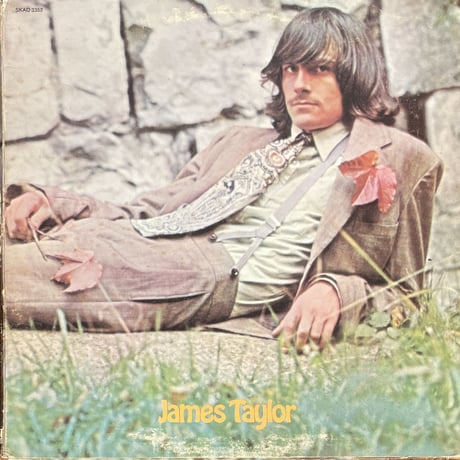 JAMES TAYLOR / James Taylor