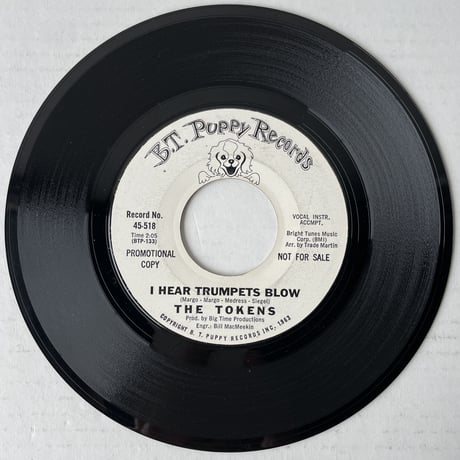 THE TOKENS / Don't Cry Sing Along With The Music