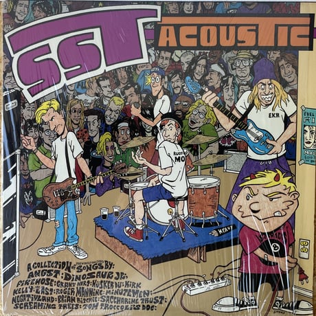 V.A. / SST Acoustic