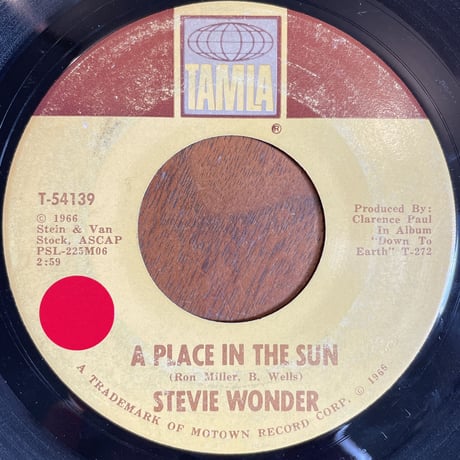 STEVIE WONDER / A Place In The Sun