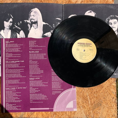 THE ALLMAN BROTHERS / Enlightened Rogues