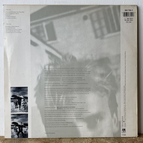 STING / The Dream Of The Blue Turtles