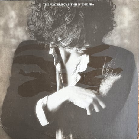 THE WATERBOYS / This Is The Sea